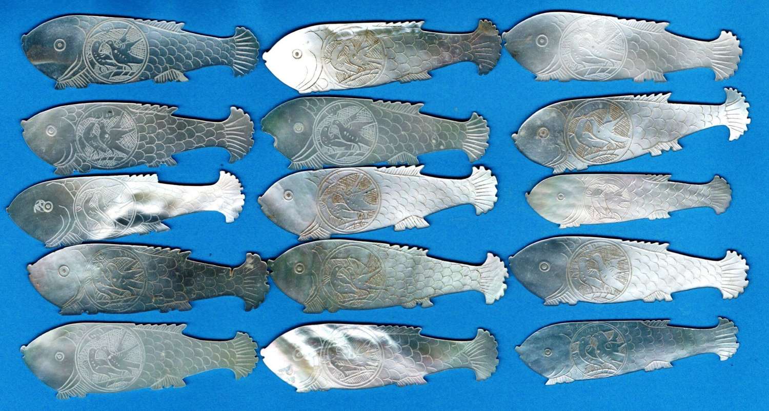 Fifteen good quality fishes