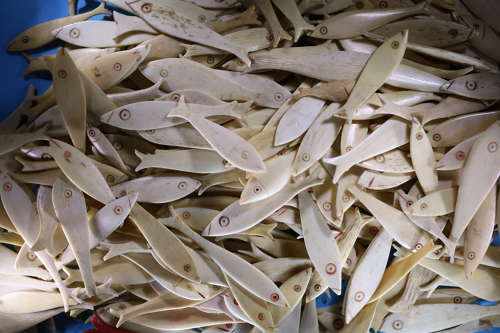 Group of 340 bone fishes.